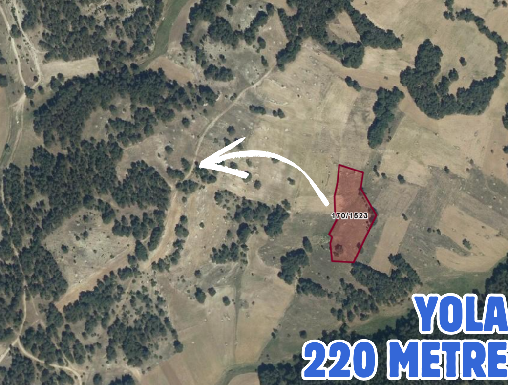 KÜTAHYA ASLANAPA ÇAMDİBİ 7.001M² TARLAMIZ SATILIKTIR - KÜTAHYA ASLANAPA fotoğraf 3